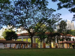 Blk 769 Bedok Reservoir View (Bedok), HDB 5 Rooms #166517562